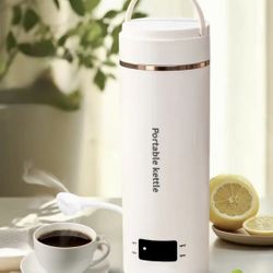 Travel Electric Kettle Portable Small MinKettle Water Boiler, Water Heater with 4 Temperature Controls, 304 Stainless Steel with Auto Shut Off & Boil 