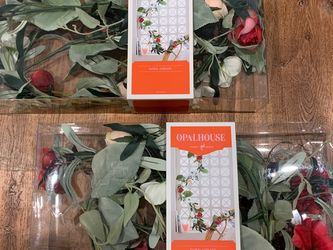 Opalhouse Target Rose And Olive Valentine’s Day Garland Romantic