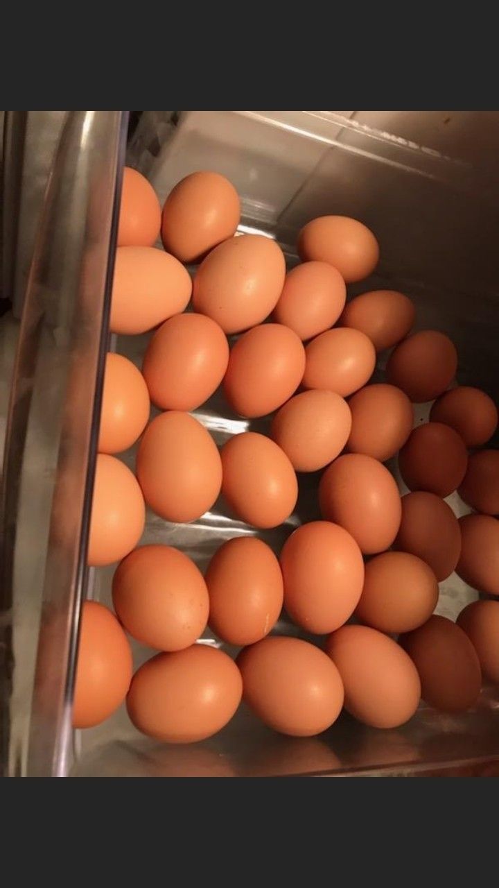 Organic Brown Eggs