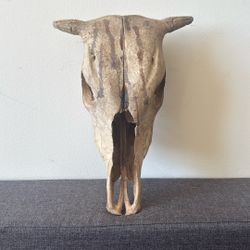  Deer Skull with Antlers – Rustic Decor / Collectible