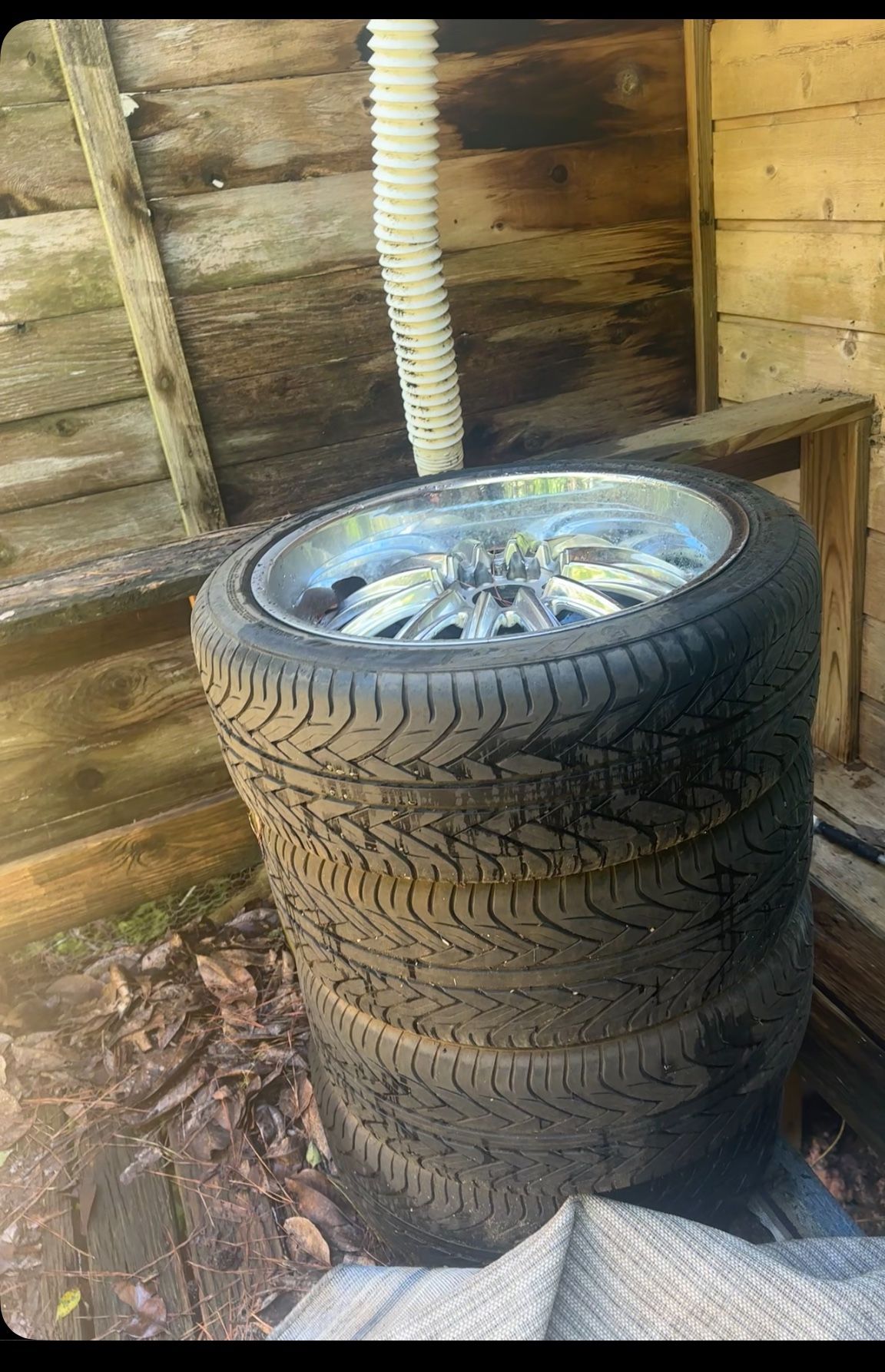 400$ Obo