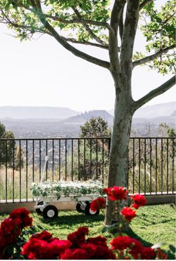 White Decorative Wagon with Greenery