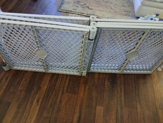 Baby playpen puppy