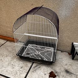 Bird Cage 