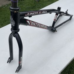 Intense Bmx Jr Frame Set