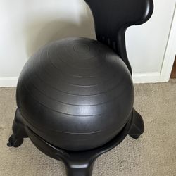 Exercise Ball Chair