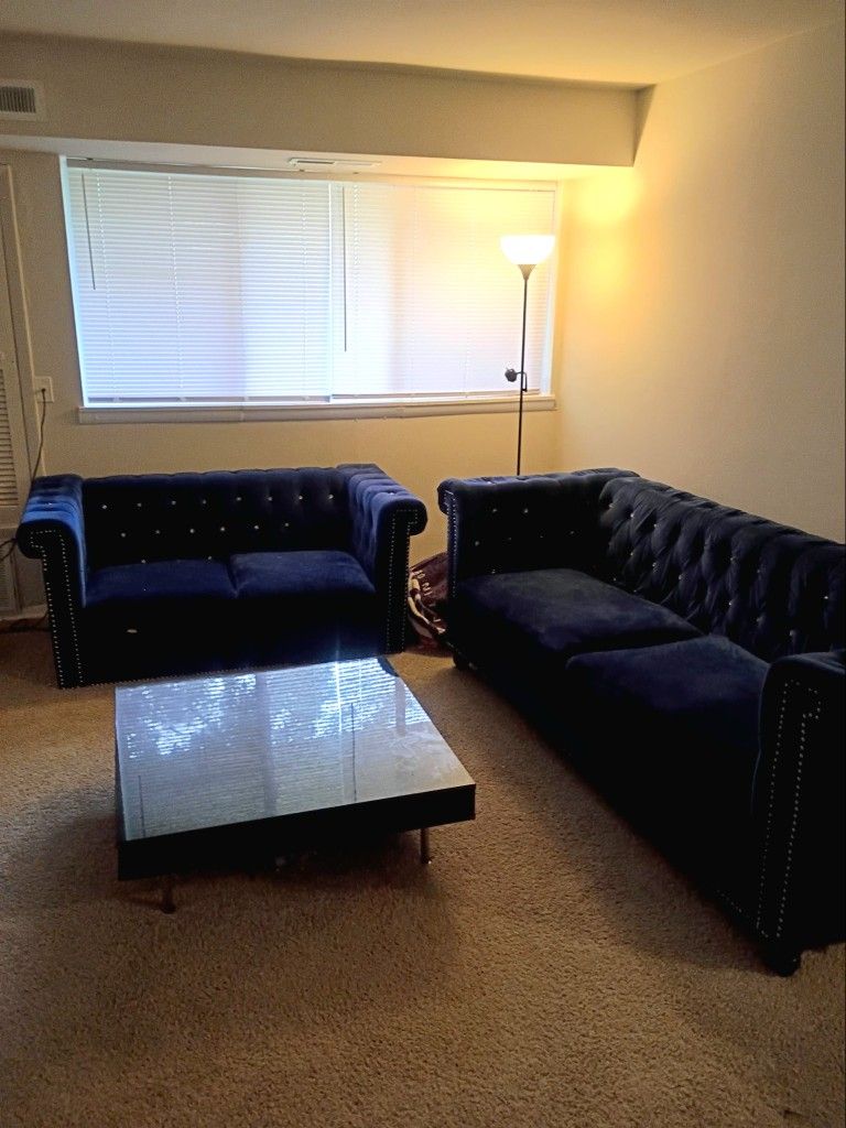 Blue Velvet Sofa and Loveseat With Modern Lacquer Table
