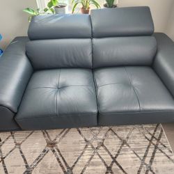 Top Grain Leather Love Seat
