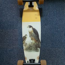 Globe Skateboard 