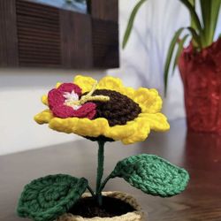 Sunflower Crochet