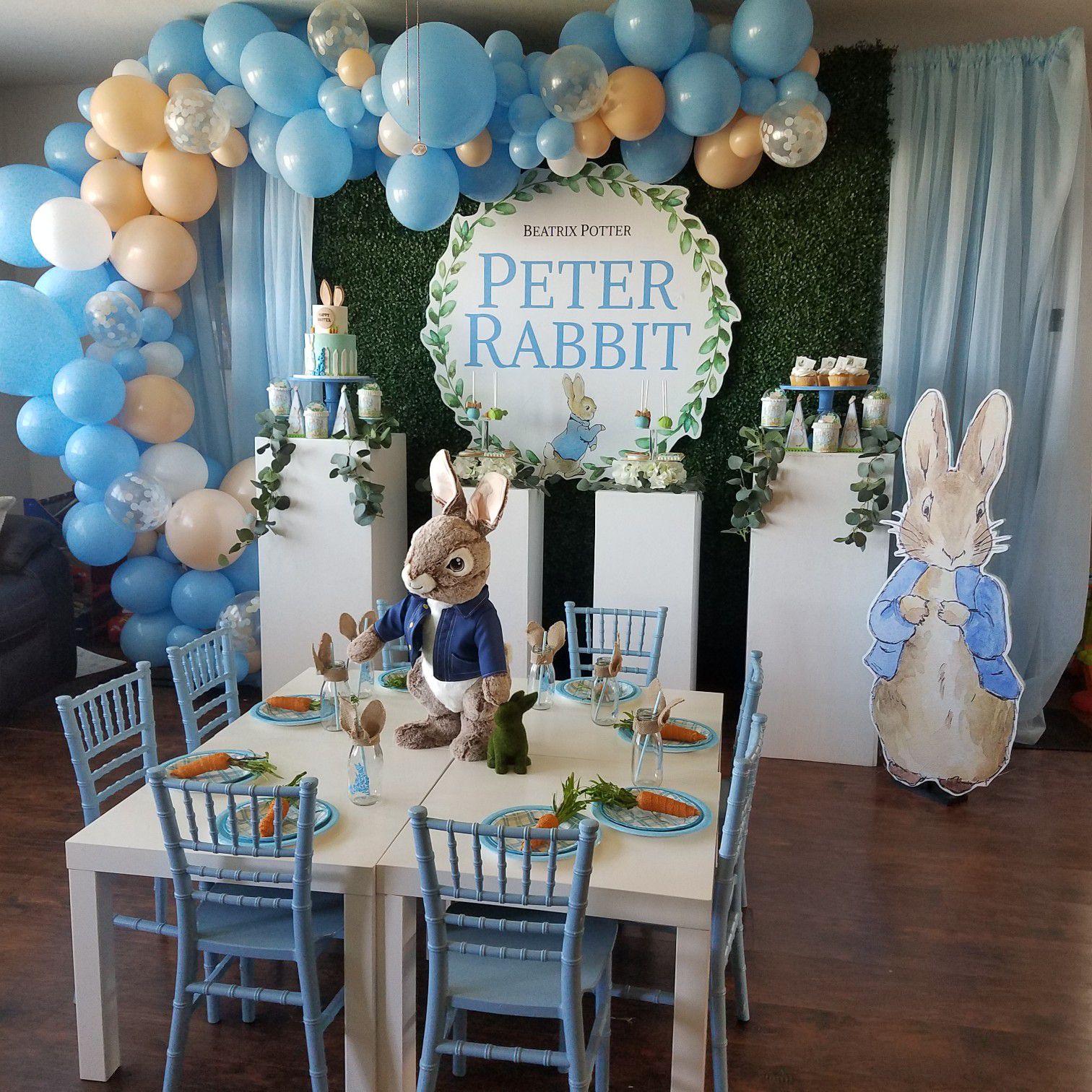 Peter Rabbit Party Supplies