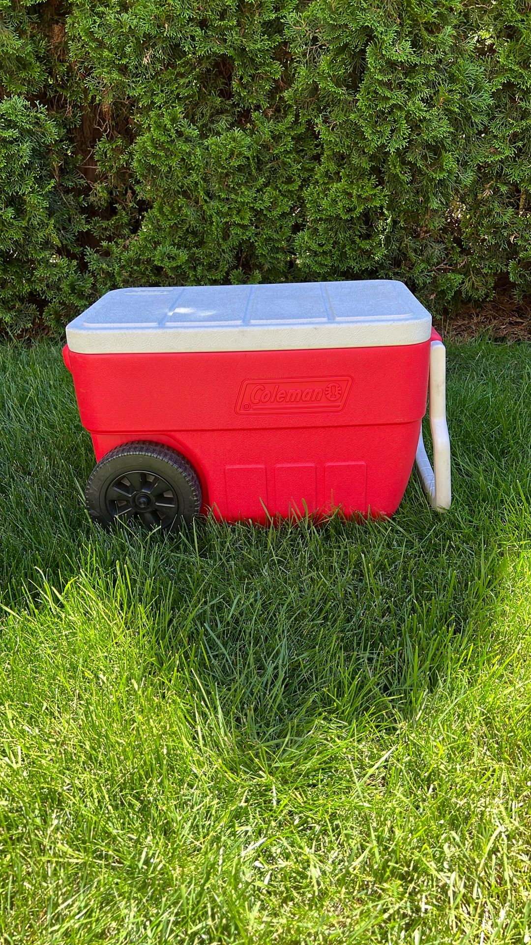 Rolling Coleman Cooler With Handle