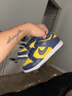 11c Nike Michigan Dunks