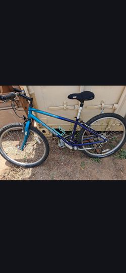 Trek Bike