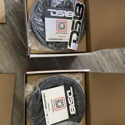 Speaker Ds18 