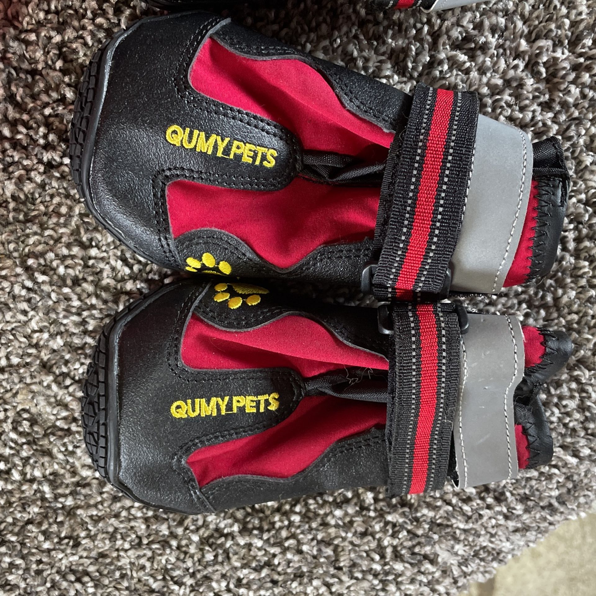Dog Shoes
