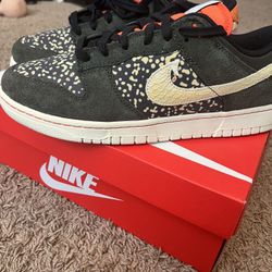 Nike Dunk Rainbow Trout 