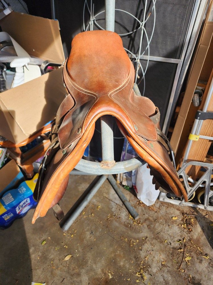 Saddle English Bevel 16.5 Seat Adult