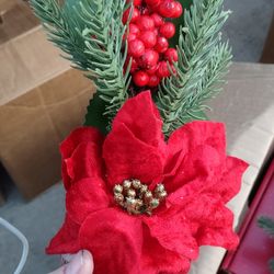 Christmas Poinsettia Foliage
