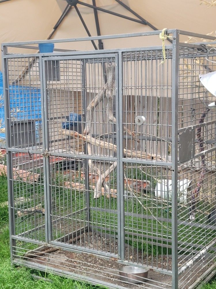Bird Cage