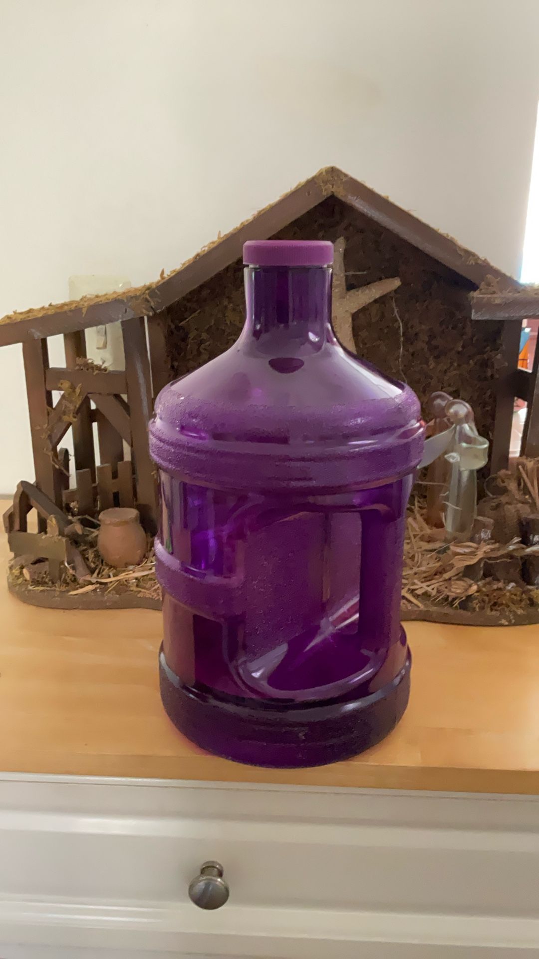 10 One Gallon Water Bottles