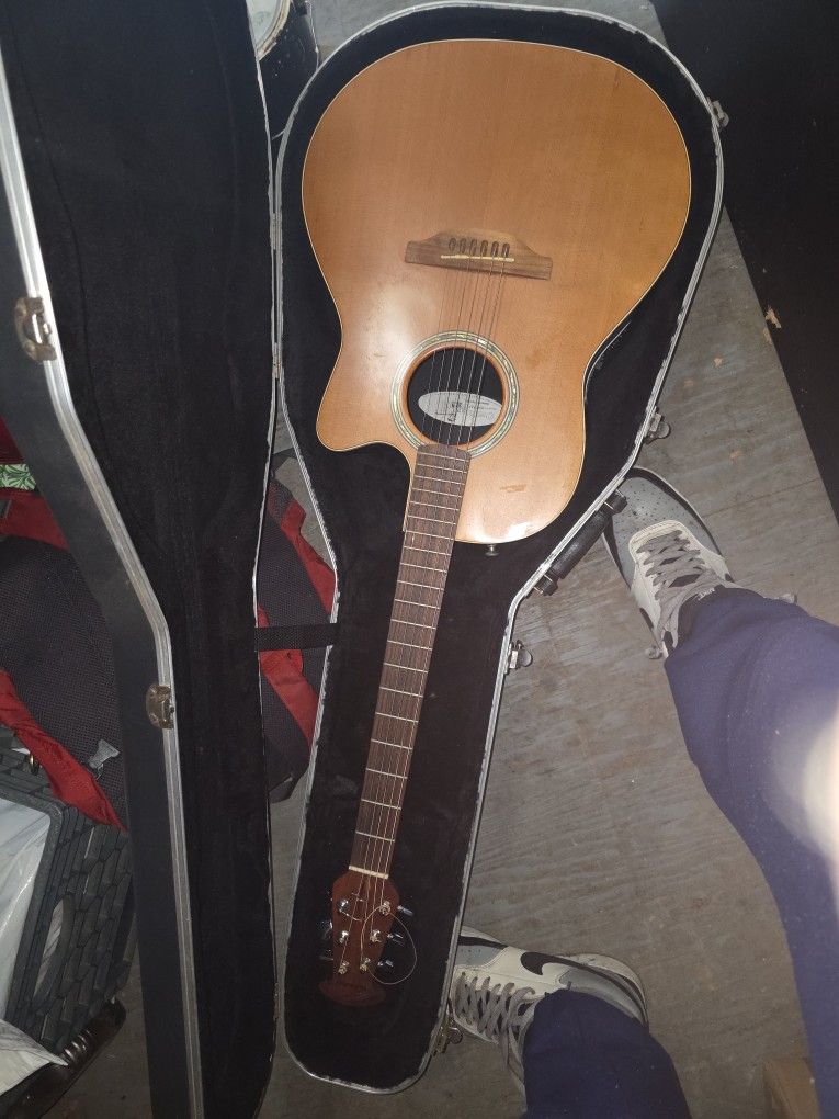 Ovasion Guitar