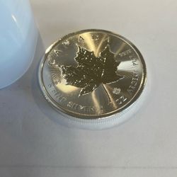 Tube of (20) 2026 Canadian Silver Maples