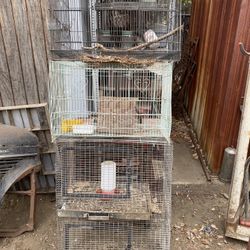 Birdcages