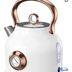 Electric Water Kettle