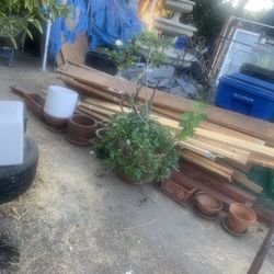 Planters All For $30
