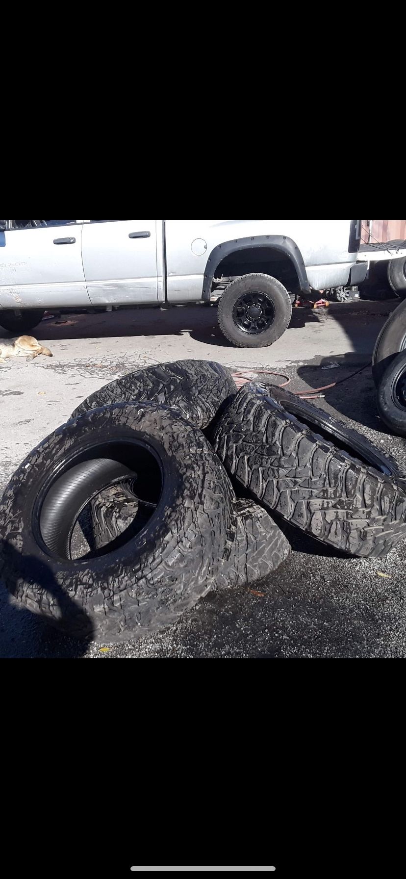 toyo M/T
