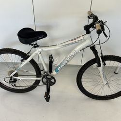 Raleigh Ladies Trail Bike