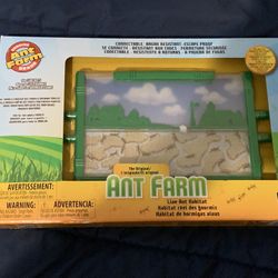Ant Farm