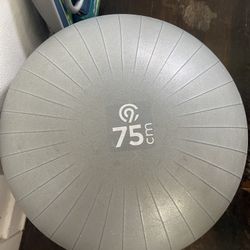 Gray Yoga/pregnancy Ball 75cm