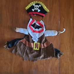 Dog Halloween Costume (Small dog)
