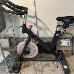 Sunny Exercise Bike