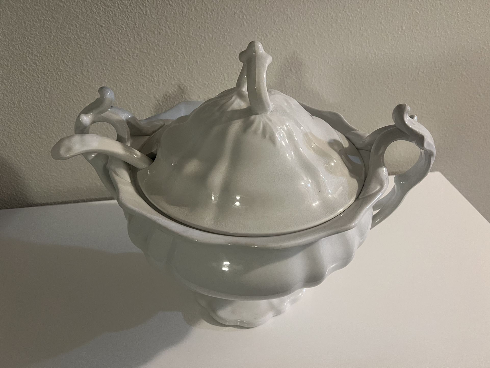Collector’s Item Rare Ironstone Tureen Set w lid & ladle