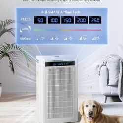 Ecoself Air Purifiers for Home Large Room Up to 3850 Ft²,with App Smart Control,Dual-Sided Powerful Filtration,AQI Display,Real-Time Temp&Humidity