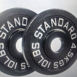 Weight Plates 10lbs Pair