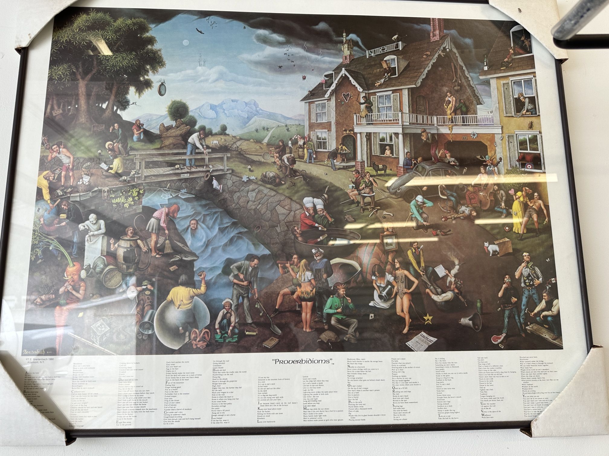 Proverbidioms By TE Breitenbach 2x Framed