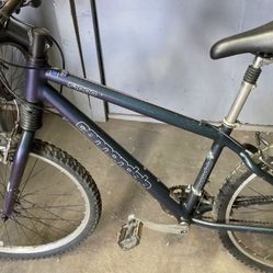 Cannondale F1000