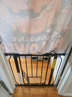 Baby Gate w/ Pet Door