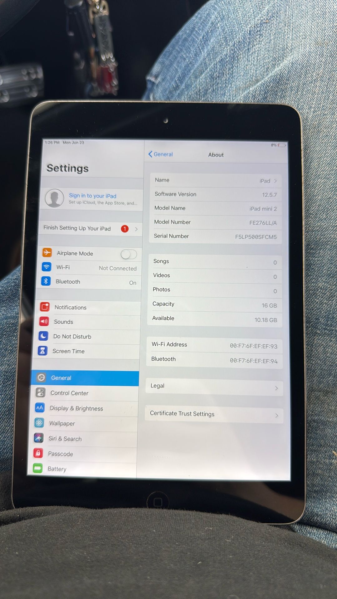iPad Mini 2