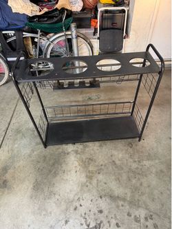 Sports equipment organizer
