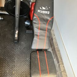 FLYBIRD Workout Bench