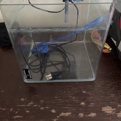 Betta Fish Fish Tank