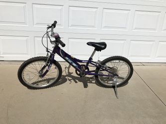 GT Little Timber Bike