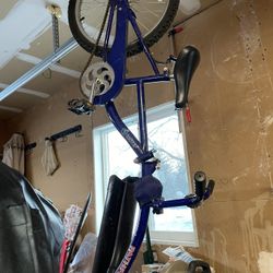 In Step Ride Along Bike Trainer