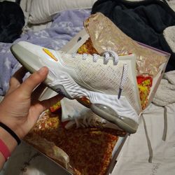 LeBron Xix Lows 400$