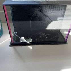 Small Fish Tanks 